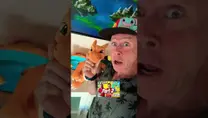 #pokemon #pokemoncommunity #pokemonunite #pokemontcg #pokémon