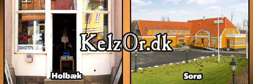 Kelz0r butiksbillede