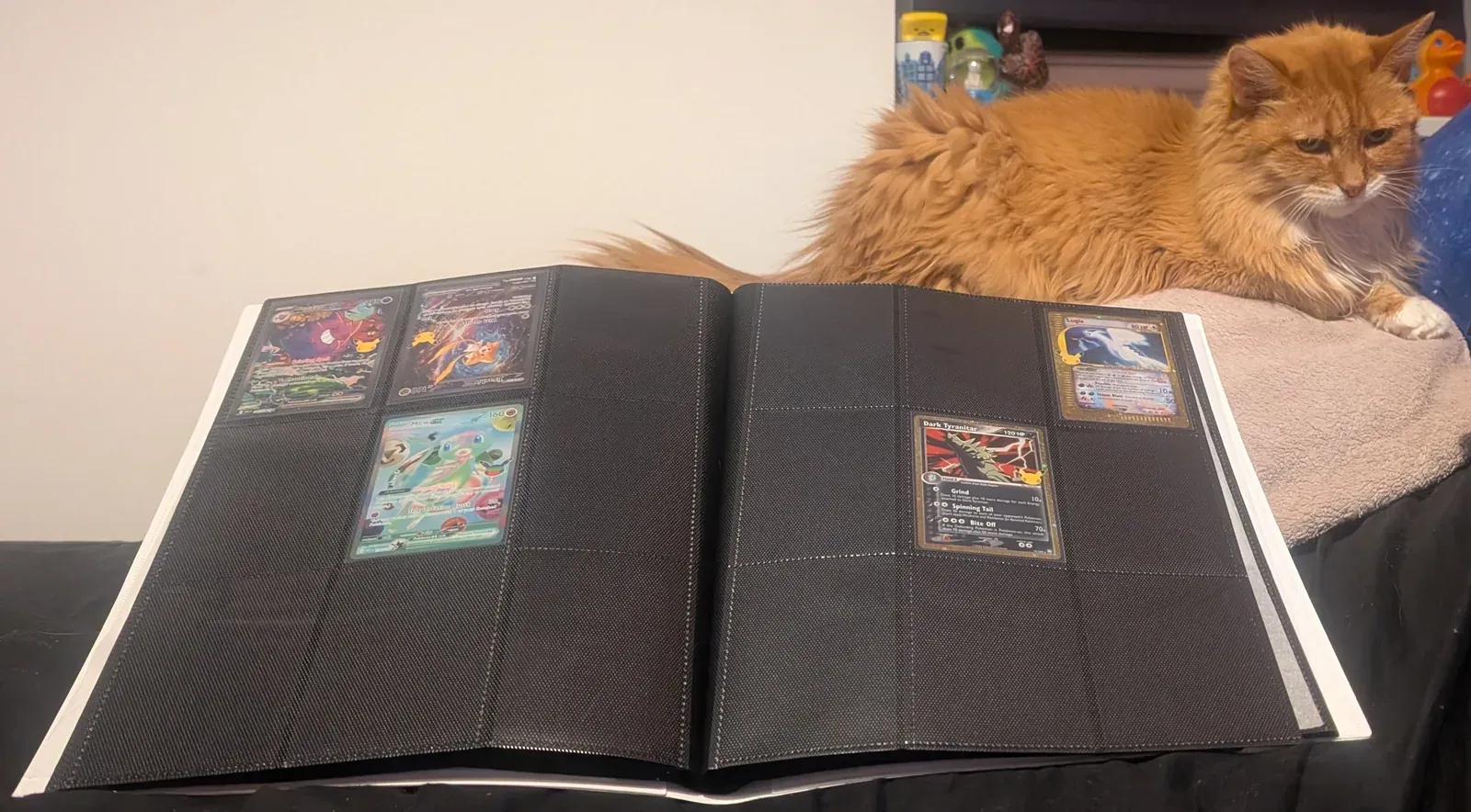 deddy & Pokemon TCG Binder.jpg